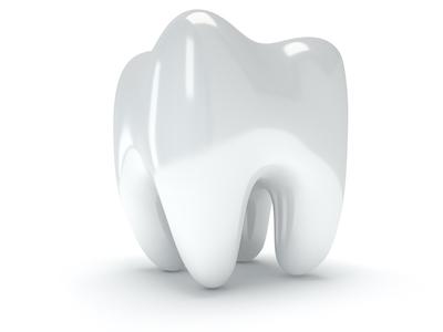 An illustration of a tooth